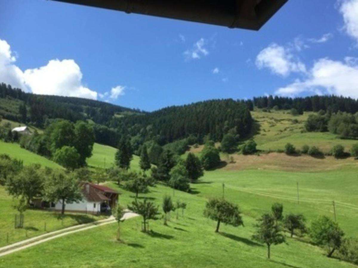 Ferienwohnungen Maierhof Oberried Oberried  Extérieur photo