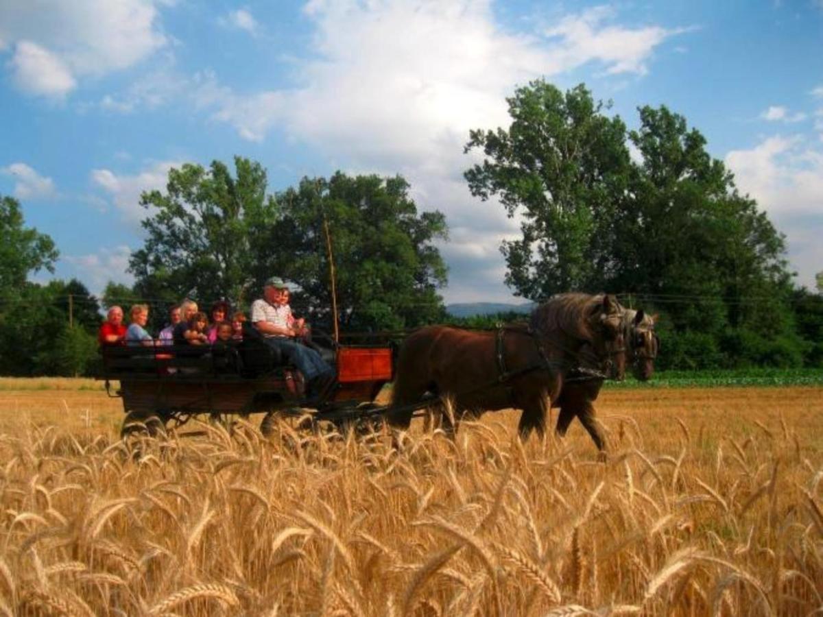 Ferienwohnungen Maierhof Oberried Oberried  Extérieur photo