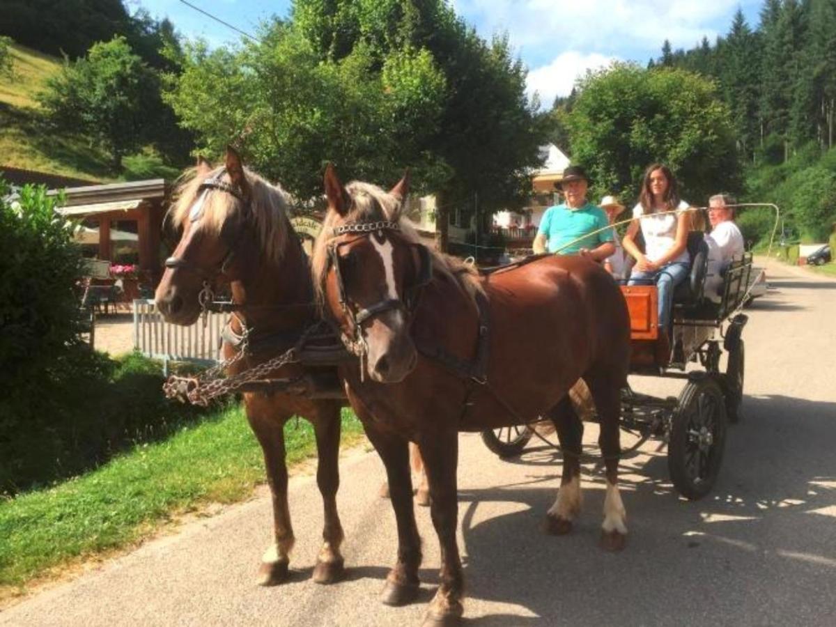 Ferienwohnungen Maierhof Oberried Oberried  Extérieur photo