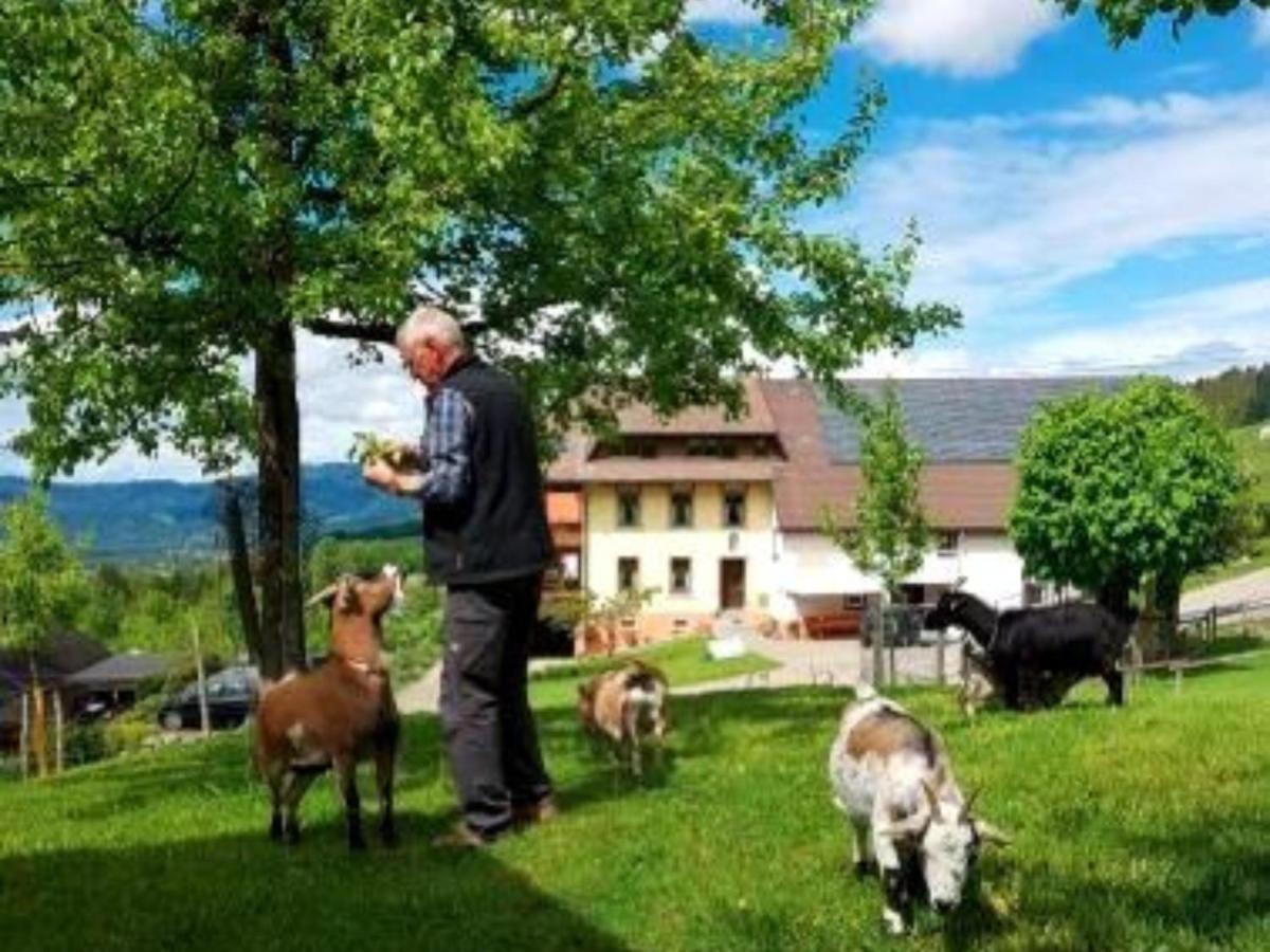 Ferienwohnungen Maierhof Oberried Oberried  Extérieur photo