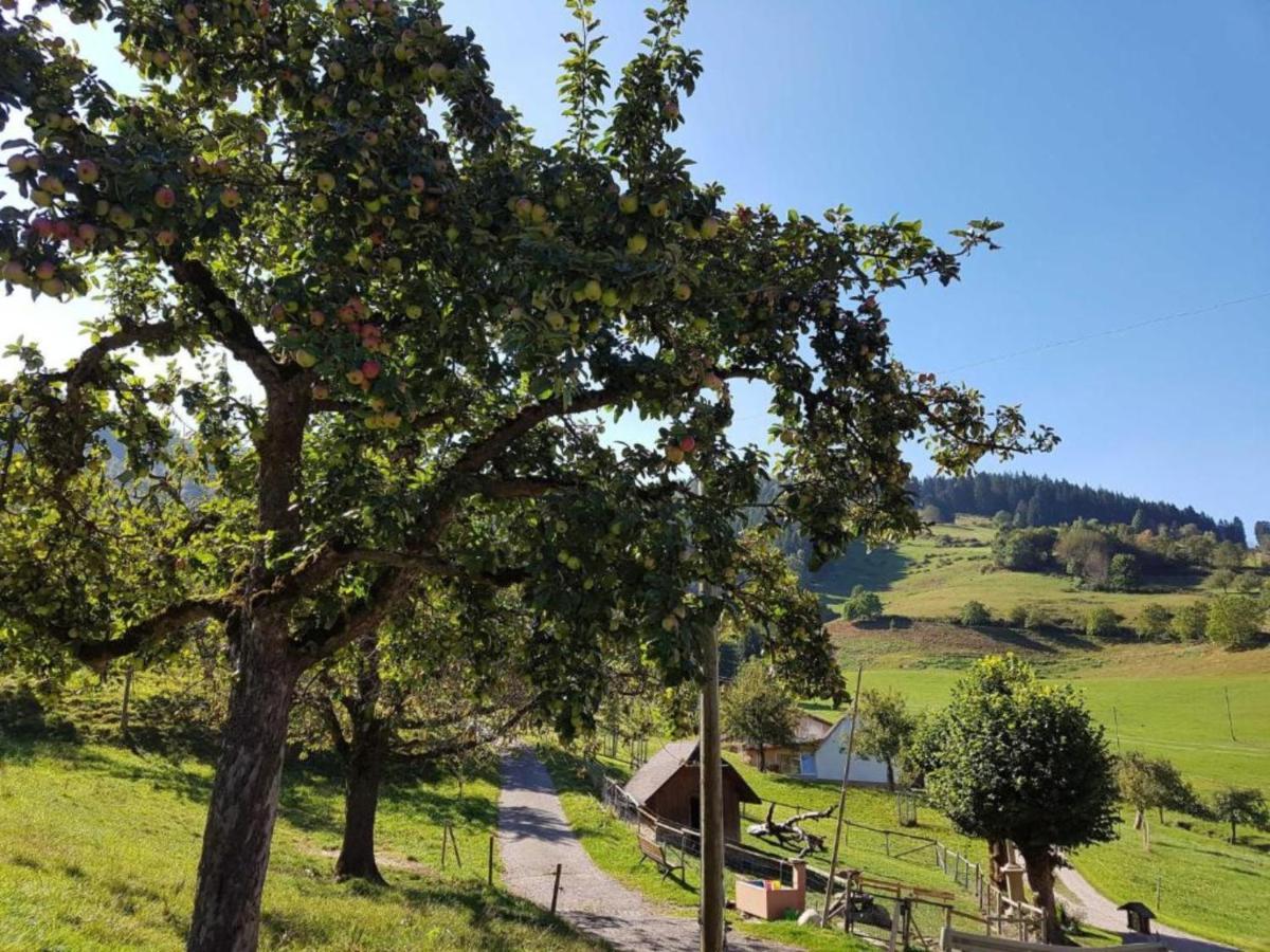 Ferienwohnungen Maierhof Oberried Oberried  Extérieur photo