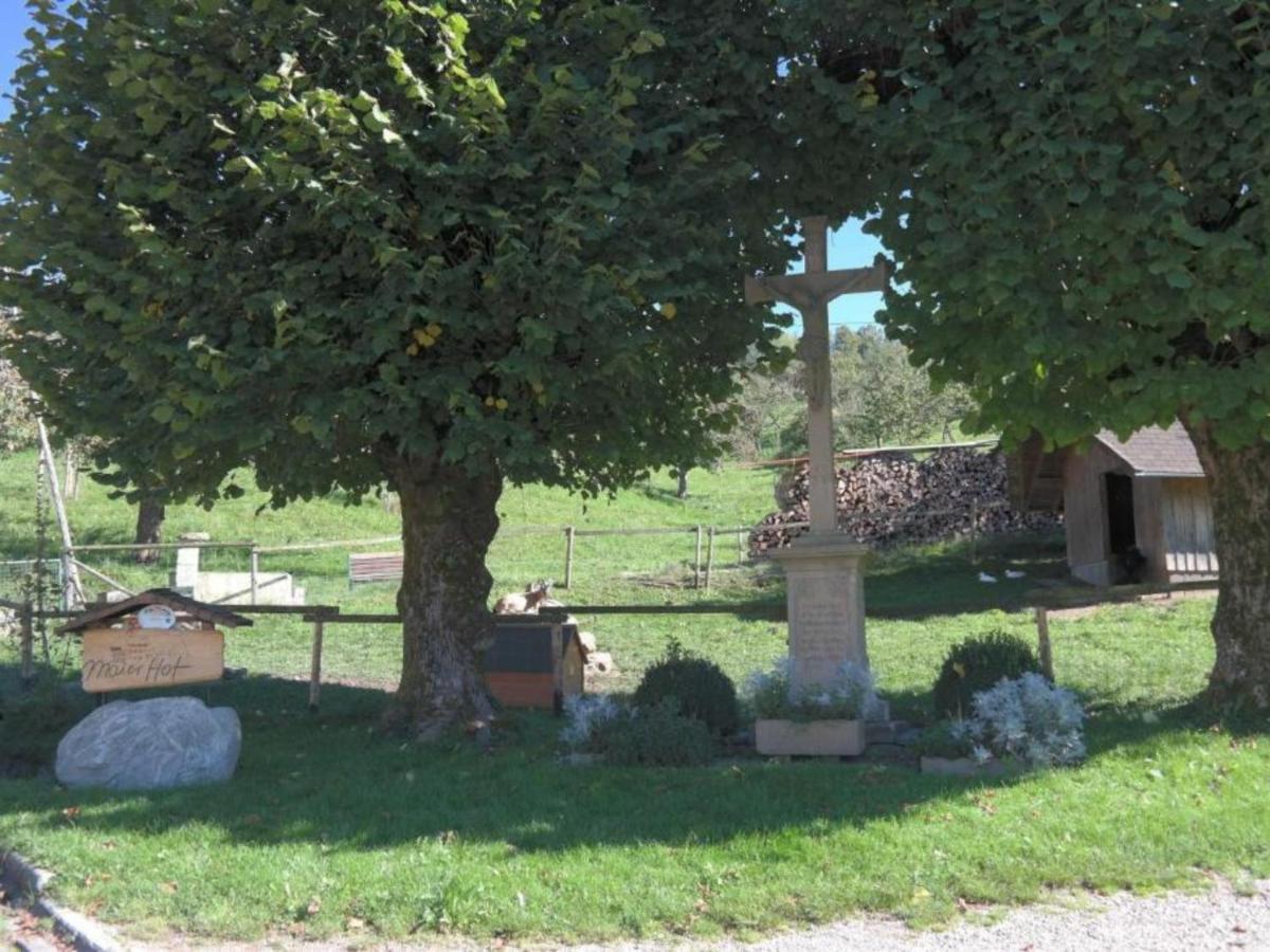 Ferienwohnungen Maierhof Oberried Oberried  Extérieur photo